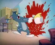 Tom & Jerry (1940) - S1940E38 - Mouse Cleaning from 180chan siberian mouse