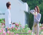 Love at First Night (2024) ep 12 chinese drama eng sub