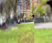 Viral video of “love-making couple” in NYC park causes outrage from beautiful boudi making video from bathroom 4