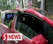 A motorist and a motorcyclist related their harrow experiences of being hit by a tree along Jalan Pinang in Kuala Lumpur during a rainstorm on Monday (May 13) afternoon.&#60;br/&#62;&#60;br/&#62;WATCH MORE: https://thestartv.com/c/news&#60;br/&#62;SUBSCRIBE: https://cutt.ly/TheStar&#60;br/&#62;LIKE: https://fb.com/TheStarOnline