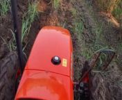 Rolling system in India | rolling by my Kubota tractor from xxxtdww xxx indian hows