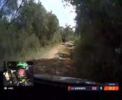 WRC Kenya 2024 Shakedown Greensmith Almost Hit Animal from almost 18