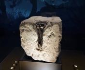 First look at Stone of Destiny on show at the Perth Museum&#60;br/&#62;&#60;br/&#62;The potent symbol of Scotland&#39;s nationhood, on which Scottish kings were crowned, has moved from Edinburgh Castle.&#60;br/&#62;&#60;br/&#62;It sits in a new purpose built within the museum, which opens to the public on Saturday