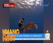 Ngayong summer, i-level up na ang summer outing at maki-bonding kasama ang iba’t ibang sea creatures! Panoorin ang video.&#60;br/&#62;&#60;br/&#62;Hosted by the country’s top anchors and hosts, &#39;Unang Hirit&#39; is a weekday morning show that provides its viewers with a daily dose of news and practical feature stories.&#60;br/&#62;&#60;br/&#62;Watch it from Monday to Friday, 5:30 AM on GMA Network! Subscribe to youtube.com/gmapublicaffairs for our full episodes.&#60;br/&#62;