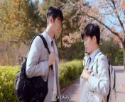 (Kr BL) Cherry Blossom After Winter ep.5 engsub from bl erotic