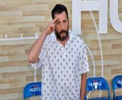 &#39;Hustle&#39; actor Adam Sandler tried to join strangers on a nude beach in the Mediterranean but had second thoughts and got scared away by seagulls.