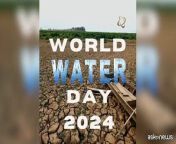 Acqua per la Pace: World Water Day 2024 from pace wu fake