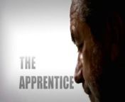 Series in which candidates compete for the position of apprentice to multi-millionaire Alan Sugar. The teams are set the task of designing a new dog accessory to pitch to pet stores across London.