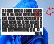 ▶ In This Video You Will Find How To Fix Backspace Key Not Working In Windows 11 and 10 ✔️.&#60;br/&#62;&#60;br/&#62; ⁉️ If You Faced Any Problem You Can Put Your Questions Below ✍️ In Comments And I Will Try To Answer Them As Soon As Possible .&#60;br/&#62;▬▬▬▬▬▬▬▬▬▬▬▬▬&#60;br/&#62;&#60;br/&#62;If You Found This Video Helpful,PleaseLike And Follow Our Dailymotion Page , Leave Comment, Share it With Others So They Can Benefit Too, Thanks.&#60;br/&#62;&#60;br/&#62;▬▬Support This Dailymotion Page By 1&#36; or More▬▬&#60;br/&#62;&#60;br/&#62;https://paypal.com/paypalme/VictorExplains&#60;br/&#62;&#60;br/&#62;▬▬ Join Us On Social Media ▬▬&#60;br/&#62;&#60;br/&#62;▶Web s it e: https://victorinfos.blogspot.com&#60;br/&#62;&#60;br/&#62;▶F a c eb o o k : https://www.facebook.com/Victorexplains&#60;br/&#62;&#60;br/&#62;▶ ︎ Twi t t e r: https://twitter.com/VictorExplains&#60;br/&#62;&#60;br/&#62;▶I n s t a g r a m: https://instagram.com/victorexplains&#60;br/&#62;&#60;br/&#62;▶ ️ P i n t e r e s t: https://.pinterest.co.uk/VictorExplains&#60;br/&#62;&#60;br/&#62;▬▬▬▬▬▬▬▬▬▬▬▬▬▬&#60;br/&#62;&#60;br/&#62;▶ ⁉️ If You Have Any Questions Feel Free To Contact Us In Social Media.&#60;br/&#62;&#60;br/&#62;▬▬ ©️ Disclaimer ▬▬&#60;br/&#62;&#60;br/&#62;This video is for educational purpose only. Copyright Disclaimer under section 107 of the Copyright Act 1976, allowance is made for &#39;&#39;fair use&#92;