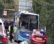 Emergency services were called at around 12.45pm on Monday, February 26 to reports of a tree having fallen and hit a bus and a van in Guildford Road, Horsham. Video courtesy of Eddie Mitchell
