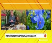 As the days get longer and the air gets warmer, gardeners may be eager to get to planting. Here&#39;s what you should know before you do.