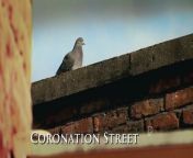 Coronation Street 8th March 2024&#60;br/&#62;Thank you for watching the video!&#60;br/&#62;Please follow the channel to see more interesting videos!&#60;br/&#62;If you like to Watch Videos like This Follow Me You Can Support Me By Sending cash In Via Paypal&#62;&#62; https://paypal.me/countrylife821 &#60;br/&#62;