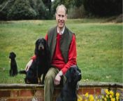 Prince Edward: King Charles marks younger brother’s 60th birthday by awarding him the Order of the Thistle from 3gp king com boo