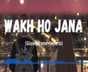 Appa Wakh Ho Jana &#124; Slow And Reverb Song &#124; Sad Song #sadsong
