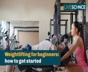 Want to build muscle but not sure where to start? Our expert-backed guide will help you navigate the basics of weightlifting for beginners