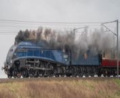 Anthony Pipes captured this iconic locomotive, one of the most recognizable trains in the world as it journeyed from London to York. &#60;br/&#62;Editing by Rob Currell from The Newark Advertiser.