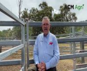 A J Bush &amp; Sons Sustainable Farming, Renewable Energy &amp; Government Relationships manager David Kassulke shares his love for of running cattle at Glenapp on the Scenic Rim. Video by Alison Paterson.