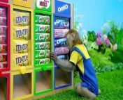 Kiki Monkey take Blackpink Cookies Vending Machine to eat with puppy _y_null