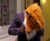 Good Morning Britain presenter gets stuck in fox mask during live news reportSource: Good Morning Britain, ITV