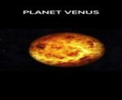 PLANET VENUS from venus palermo