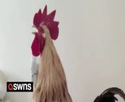 A pet rooster climbs into his owner&#39;s bed every morning to wake him up at 7am. &#60;br/&#62;&#60;br/&#62;A video shows Rourou the rooster clattering down the hallway, jumping on the sofa and on its owner&#39;s bed to let out an ear-splitting crow.&#60;br/&#62;&#60;br/&#62;Owner Qi Wentong adopted Rourou, three, after his previous owner fell ill. &#60;br/&#62;&#60;br/&#62;Rourou has been living with Qi in Tangshan in China&#39;s Heibei Province and is allowed to roam freely around the house.