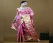 Organza Silk saree With Beautiful Gold Zari Weaving With Rich Pallu from motu pallu hindi movie 2017