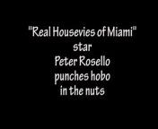 Real Housewives of Miami star Peter Rosello the son of housewife Alexia Echevarria