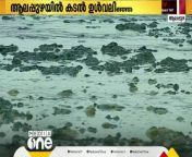 More than 50 meters of sea receded off Alappuzha Purakkad