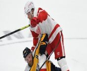 The Detroit Red Wings keep their playoff hopes alive Monday from indian red navel