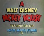 Mickey s Amateurs Disney Toon from toon pornia gandhi a