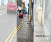 Otter strolling down Bridge Street in Aberystwyth from free sex video down loadnjanasukhaninude fake