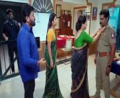 TamilDhool • Latest Collection of Tamil Serials Shows