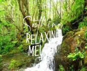 Mellow Relaxation Music - Serene Melodies for Deep Meditation, Stress Reduction, Sleep Aid from maxie mellow