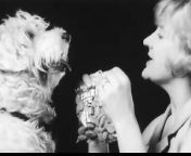 1960s Gaines variety dog food TV commercial with a talking dog.&#60;br/&#62;&#60;br/&#62;PLEASE click on the FOLLOW button - THANK YOU!&#60;br/&#62;&#60;br/&#62;You might enjoy my still photo gallery, which is made up of POP CULTURE images, that I personally created. I receive a token amount of money per 5 second viewing of an individual large photo - Thank you.&#60;br/&#62;Please check it out at CLICK A SNAP . com&#60;br/&#62;https://www.clickasnap.com/profile/TVToyMemories