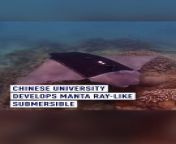 Chinese university researchers have developed manta ray-inspired #submersibles to monitor #coralreef growth in the South China #Sea. Check out this incredible innovation! #MantaRayRobot