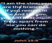 Bible Famous Quote and Bible Verse (New Testament - John 15:5)