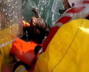 Dog rescued after falling off cliff into seaRNIL