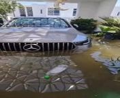 Kayak commutes and silent prayers: Dubai Arabella 1 and 2, in Mudon grapples with rising flood waters from dubai xxx www com