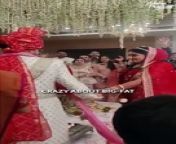 Big-Fat Wedding || Acharya Prashant from fat grangmaaboo diaries