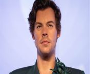 Harry Styles's stalker sent him 8000 cards in a month and is now in jail: Who is Myra Carvalho? from hd xxx video now xxxara sharma hot sexhe twil