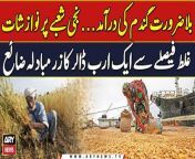 #Wheat #pakistaneconomycrisis #breakingnews &#60;br/&#62;&#60;br/&#62;Pakistan: Wheat import caused &#36;1 bln loss to national kitty &#124; ARY Breaking News &#60;br/&#62;