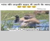 Animal funny video from mastani bhabi