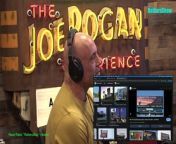 Episode 2137 Michelle Dowd - The Joe Rogan Experience Video - Episode latest update&#60;br/&#62;
