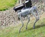 The Robot Dog With A Flamethrower Thermonator from robot 1 web series