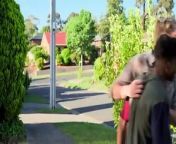 Neighbours 9030 24th April 2024 from get xx video