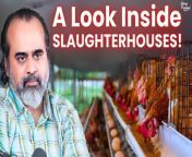 Full Video: Killing to eat flesh, you call yourself human? &#124;&#124; Acharya Prashant, on Veganism (2019)&#60;br/&#62;Link: &#60;br/&#62;&#60;br/&#62; • Killing to eat flesh, you call yourse...&#60;br/&#62;&#60;br/&#62;➖➖➖➖➖➖&#60;br/&#62;&#60;br/&#62;‍♂️ Want to meet Acharya Prashant?&#60;br/&#62;Be a part of the Live Sessions: https://acharyaprashant.org/hi/enquir...&#60;br/&#62;&#60;br/&#62;⚡ Want Acharya Prashant’s regular updates?&#60;br/&#62;Join WhatsApp Channel: https://whatsapp.com/channel/0029Va6Z...&#60;br/&#62;&#60;br/&#62; Want to read Acharya Prashant&#39;s Books?&#60;br/&#62;Get Free Delivery: https://acharyaprashant.org/en/books?...&#60;br/&#62;&#60;br/&#62; Want to accelerate Acharya Prashant’s work?&#60;br/&#62;Contribute: https://acharyaprashant.org/en/contri...&#60;br/&#62;&#60;br/&#62; Want to work with Acharya Prashant?&#60;br/&#62;Apply to the Foundation here: https://acharyaprashant.org/en/hiring...&#60;br/&#62;&#60;br/&#62;➖➖➖➖➖➖&#60;br/&#62;&#60;br/&#62;&#60;br/&#62;Video Information:&#60;br/&#62;Interview Session, 04.11.19, Bengaluru, India&#60;br/&#62;&#60;br/&#62;Context:&#60;br/&#62;~ Why should one turn vegan? &#60;br/&#62;~ What is the relationship between veganism and spirituality?&#60;br/&#62;~ How veganism is related to compassion?&#60;br/&#62;~ Why veganism is necessary for today&#39;s generation?&#60;br/&#62;~ What is the relation between veganism and climate change?&#60;br/&#62;~ How could veganism change the world? &#60;br/&#62;&#60;br/&#62;&#60;br/&#62;Music Credits: Milind Date&#60;br/&#62;~~~~~~~~~~~~~ .&#60;br/&#62;