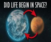 Did Humans Come From Outer Space? from human vs porno video 3gpenjar scens of holiwood movesian hot lip kiss xxx 3gp videos