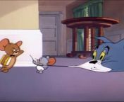 Tom & Jerry | Tom and Jerry | Cartoon For Kids | Cartoons | from cartoon damon sex videos