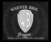 Warner Bros_ Looney Tunes - Wacky Blackout from kasey warner anal
