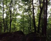 Beautiful Forest. from hindi sexy video forest sin